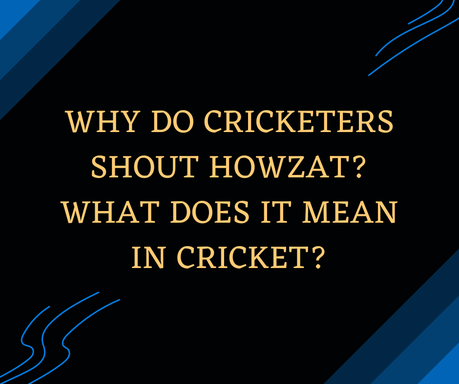 Why Do Cricketers Shout Howzat What Does it Mean in Cricket