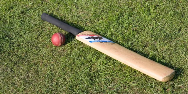 Cricket Bat
